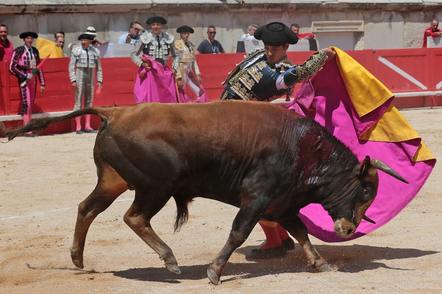 Nimes, matinal 19 de mayo de 2018