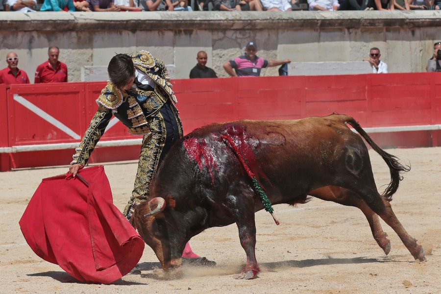 Nimes, matinal 19 de mayo de 2018