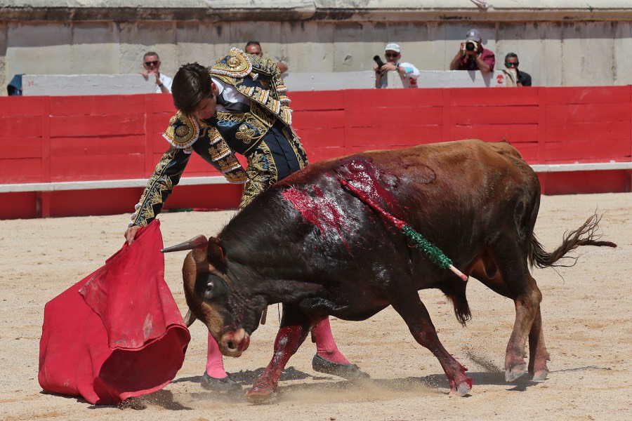 Nimes, matinal 19 de mayo de 2018