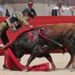 Nimes, matinal 19 de mayo de 2018