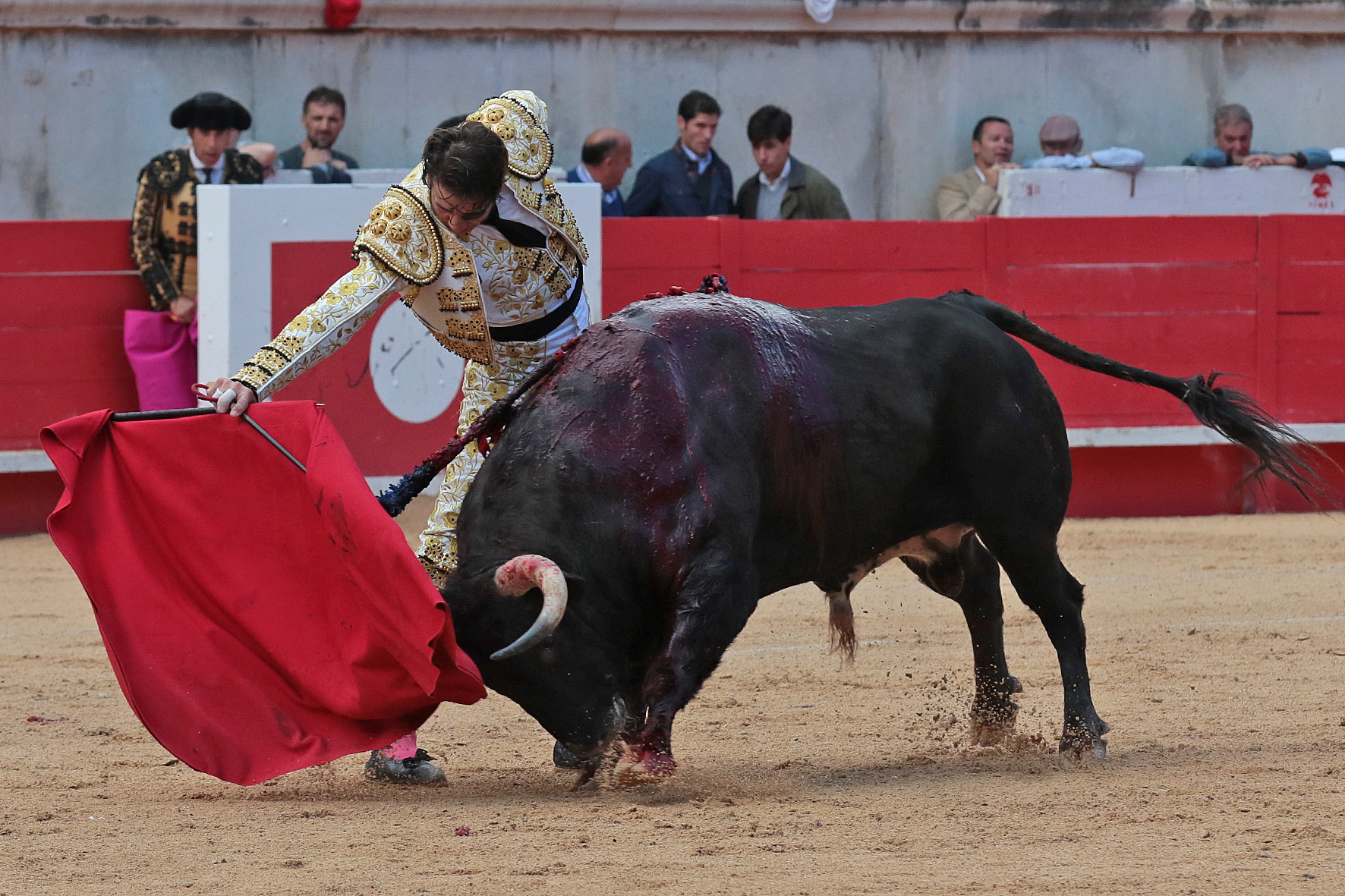 Nimes (Francia) - Feria de Pentecostés 2018 - Tarde - Domingo 20 de mayo de 2018
