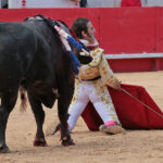 Nimes (Francia) - Feria de Pentecostés 2018 - Tarde - Domingo 20 de mayo de 2018