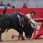 Nimes (Francia) - Feria de Pentecostés 2018 - Tarde - Domingo 20 de mayo de 2018