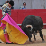 Nimes (Francia) - Feria de Pentecostés 2018 - Tarde - Domingo 20 de mayo de 2018