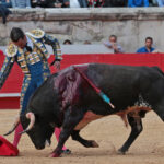 Nimes (Francia) - Feria de Pentecostés 2018 - Tarde - Domingo 20 de mayo de 2018