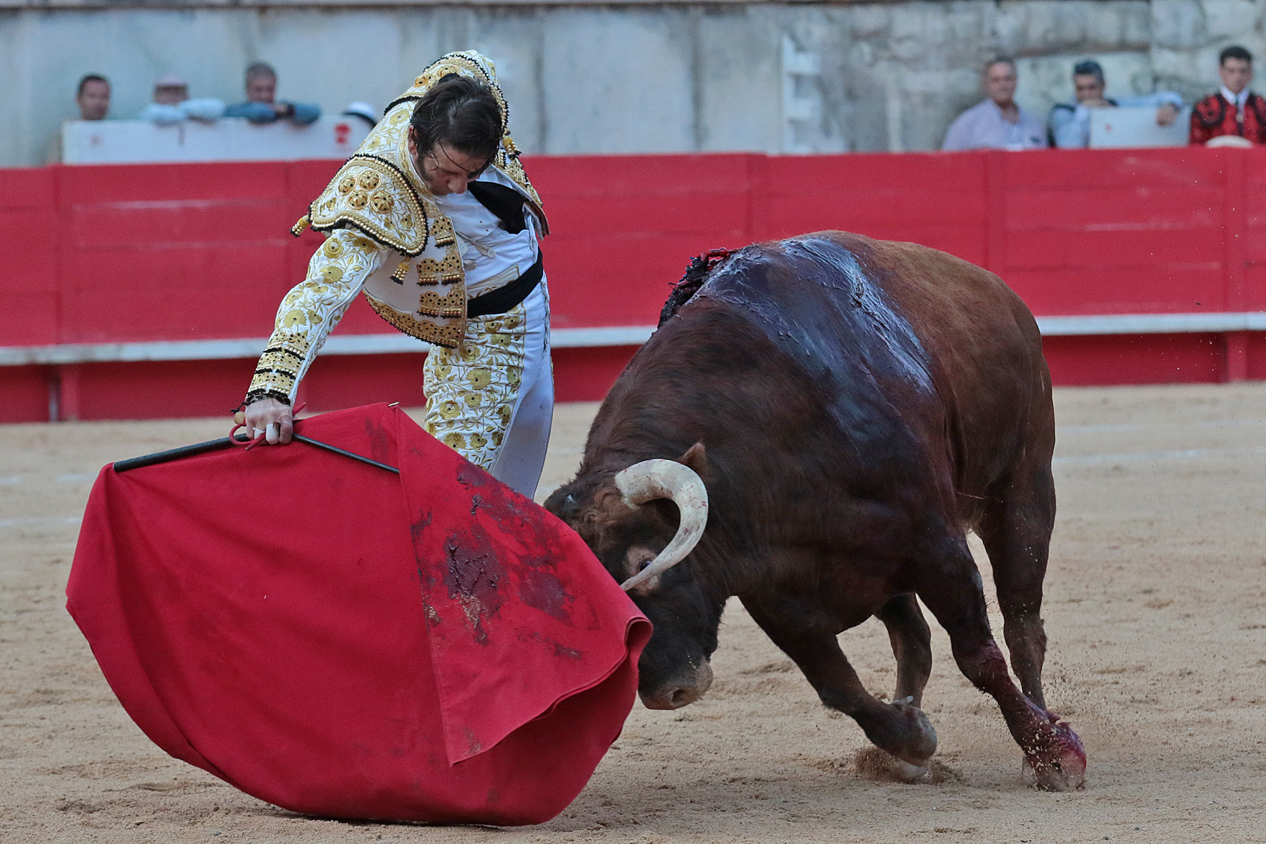 Nimes (Francia) - Feria de Pentecostés 2018 - Tarde - Domingo 20 de mayo de 2018