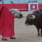 Nimes (Francia) - Feria de Pentecostés 2018 - Tarde - Domingo 20 de mayo de 2018
