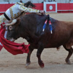 Nimes (Francia) - Feria de Pentecostés 2018 - Tarde - Domingo 20 de mayo de 2018