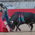 Nimes (Francia) - Feria de Pentecostés 2018 - Tarde - Domingo 20 de mayo de 2018