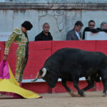 Nimes (Francia) - Feria de Pentecostés 2018 - Tarde - Domingo 20 de mayo de 2018