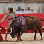 Nimes (Francia) - Feria de Pentecostés 2018 - Matinal - Domingo 20 de mayo de 2018