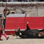 Nimes (Francia) - Feria de Pentecostés 2018 - Matinal - Domingo 20 de mayo de 2018