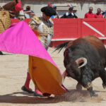 Nimes (Francia) - Feria de Pentecostés 2018 - Matinal - Domingo 20 de mayo de 2018