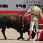Nimes (Francia) - Feria de Pentecostés 2018 - Matinal - Domingo 20 de mayo de 2018