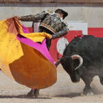 Nimes (Francia) - Feria de Pentecostés 2018 - Matinal - Domingo 20 de mayo de 2018