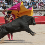 Nimes (Francia) - Feria de Pentecostés 2018 - Matinal - Domingo 20 de mayo de 2018