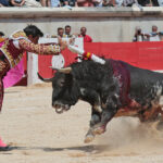 Nimes (Francia) - Feria de Pentecostés 2018 - Matinal - Domingo 20 de mayo de 2018