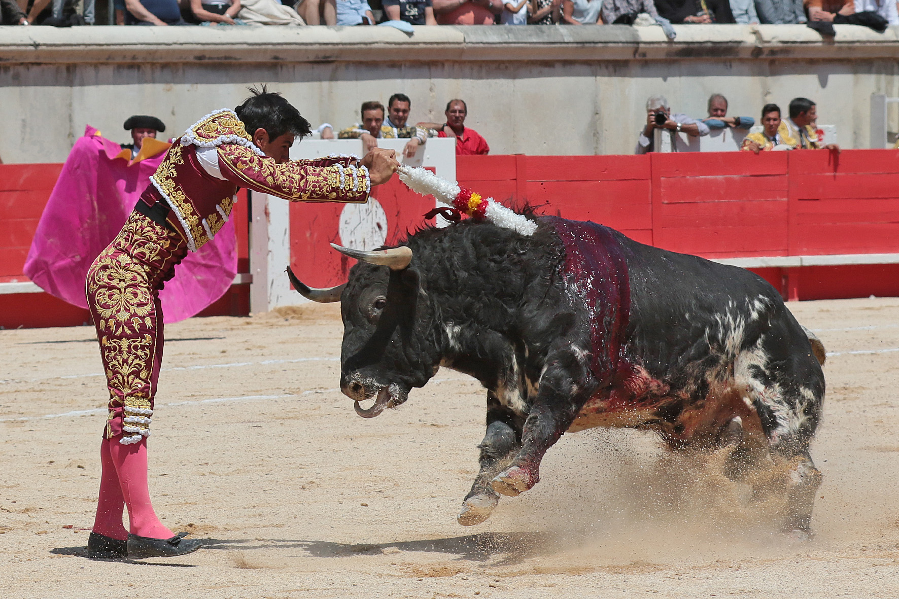Nimes (Francia) - Feria de Pentecostés 2018 - Matinal - Domingo 20 de mayo de 2018