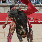 Nimes (Francia) - Feria de Pentecostés 2018 - Matinal - Domingo 20 de mayo de 2018