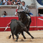 Nimes (Francia), lunes 21 de mayo de 2018. Festejo de rejones matinal