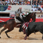 Nimes (Francia), lunes 21 de mayo de 2018. Festejo de rejones matinal