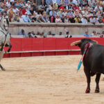 Nimes (Francia), lunes 21 de mayo de 2018. Festejo de rejones matinal