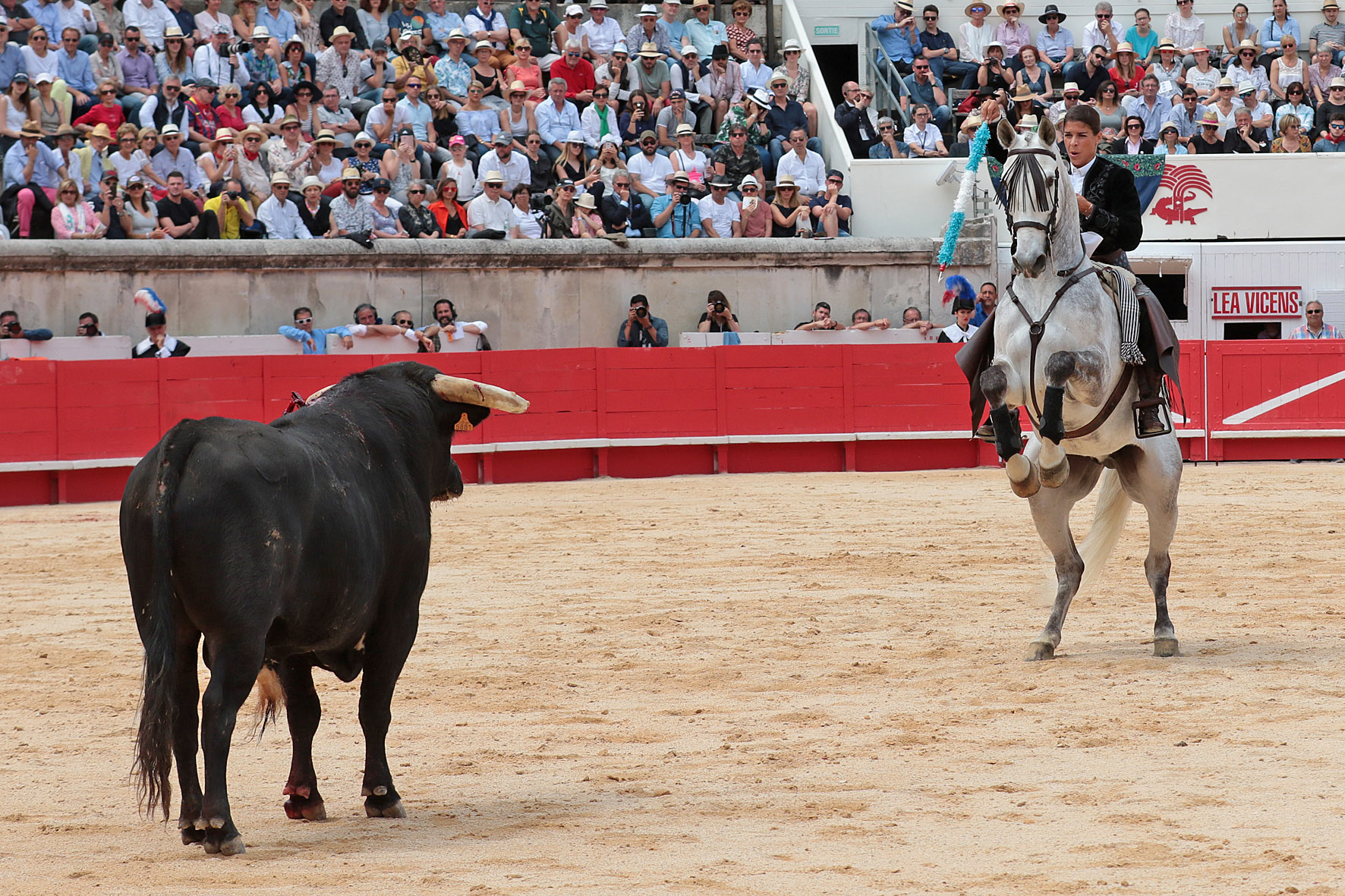 Nimes (Francia), lunes 21 de mayo de 2018. Festejo de rejones matinal