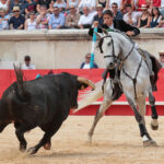 Nimes (Francia), lunes 21 de mayo de 2018. Festejo de rejones matinal