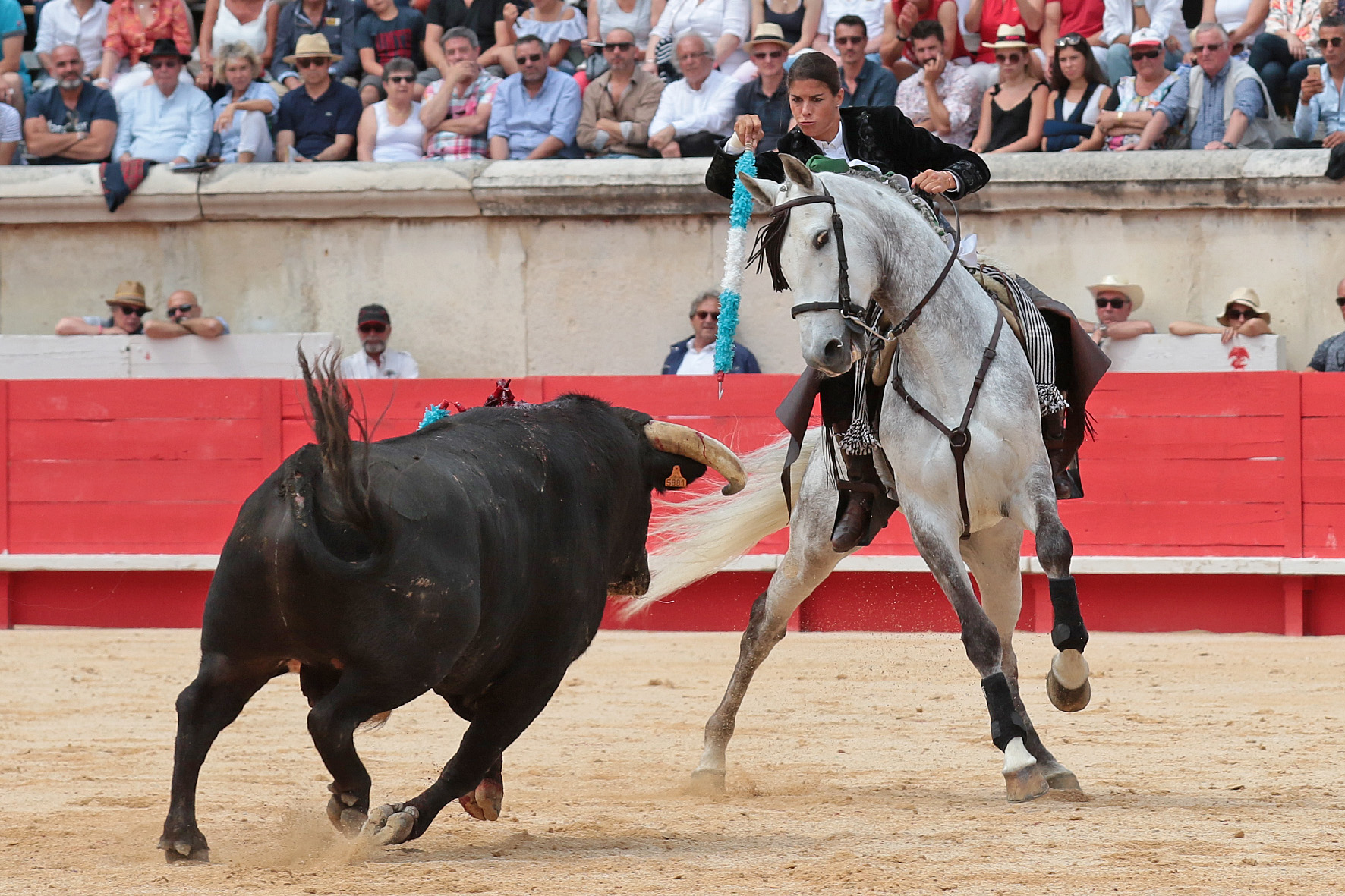 Nimes (Francia), lunes 21 de mayo de 2018. Festejo de rejones matinal