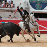 Nimes (Francia), lunes 21 de mayo de 2018. Festejo de rejones matinal
