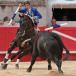 Nimes (Francia), lunes 21 de mayo de 2018. Festejo de rejones matinal