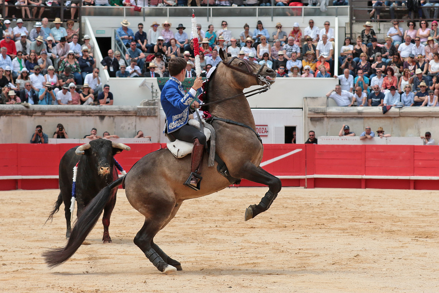 Nimes (Francia), lunes 21 de mayo de 2018. Festejo de rejones matinal