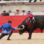 Nimes (Francia), lunes 21 de mayo de 2018. Festejo de rejones matinal