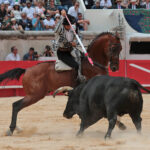 Nimes (Francia), lunes 21 de mayo de 2018. Festejo de rejones matinal