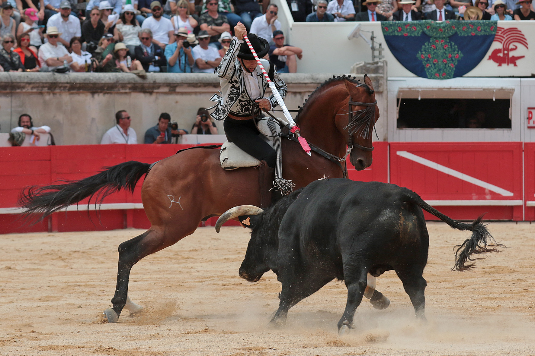 Nimes (Francia), lunes 21 de mayo de 2018. Festejo de rejones matinal