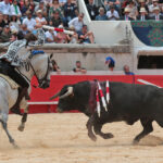 Nimes (Francia), lunes 21 de mayo de 2018. Festejo de rejones matinal
