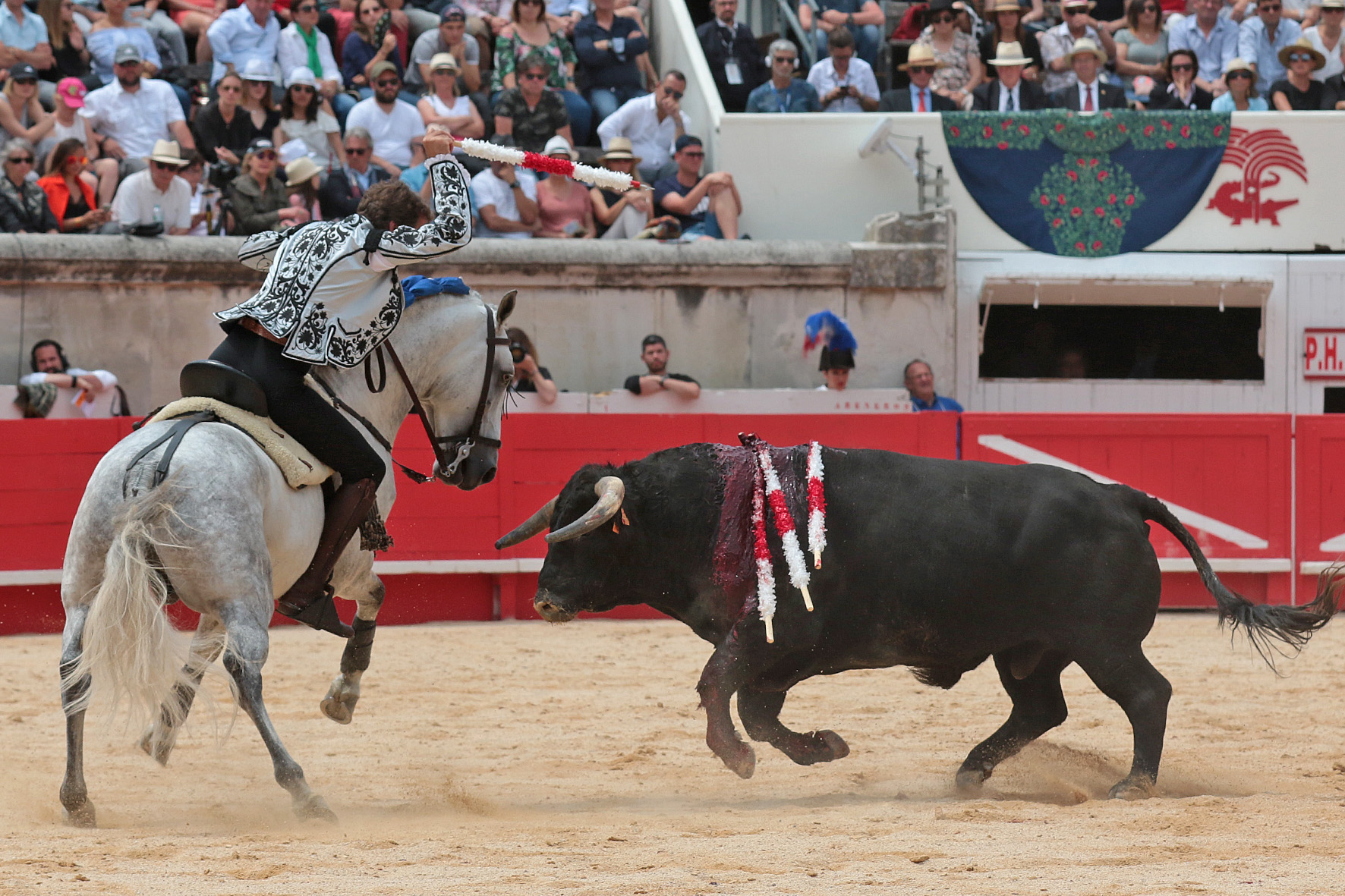 Nimes (Francia), lunes 21 de mayo de 2018. Festejo de rejones matinal