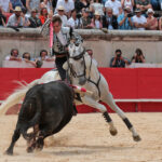 Nimes (Francia), lunes 21 de mayo de 2018. Festejo de rejones matinal