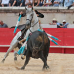 Nimes (Francia), lunes 21 de mayo de 2018. Festejo de rejones matinal