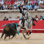 Nimes (Francia), lunes 21 de mayo de 2018. Festejo de rejones matinal