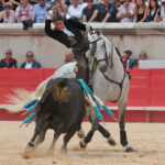 Nimes (Francia), lunes 21 de mayo de 2018. Festejo de rejones matinal