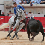 Nimes (Francia), lunes 21 de mayo de 2018. Festejo de rejones matinal