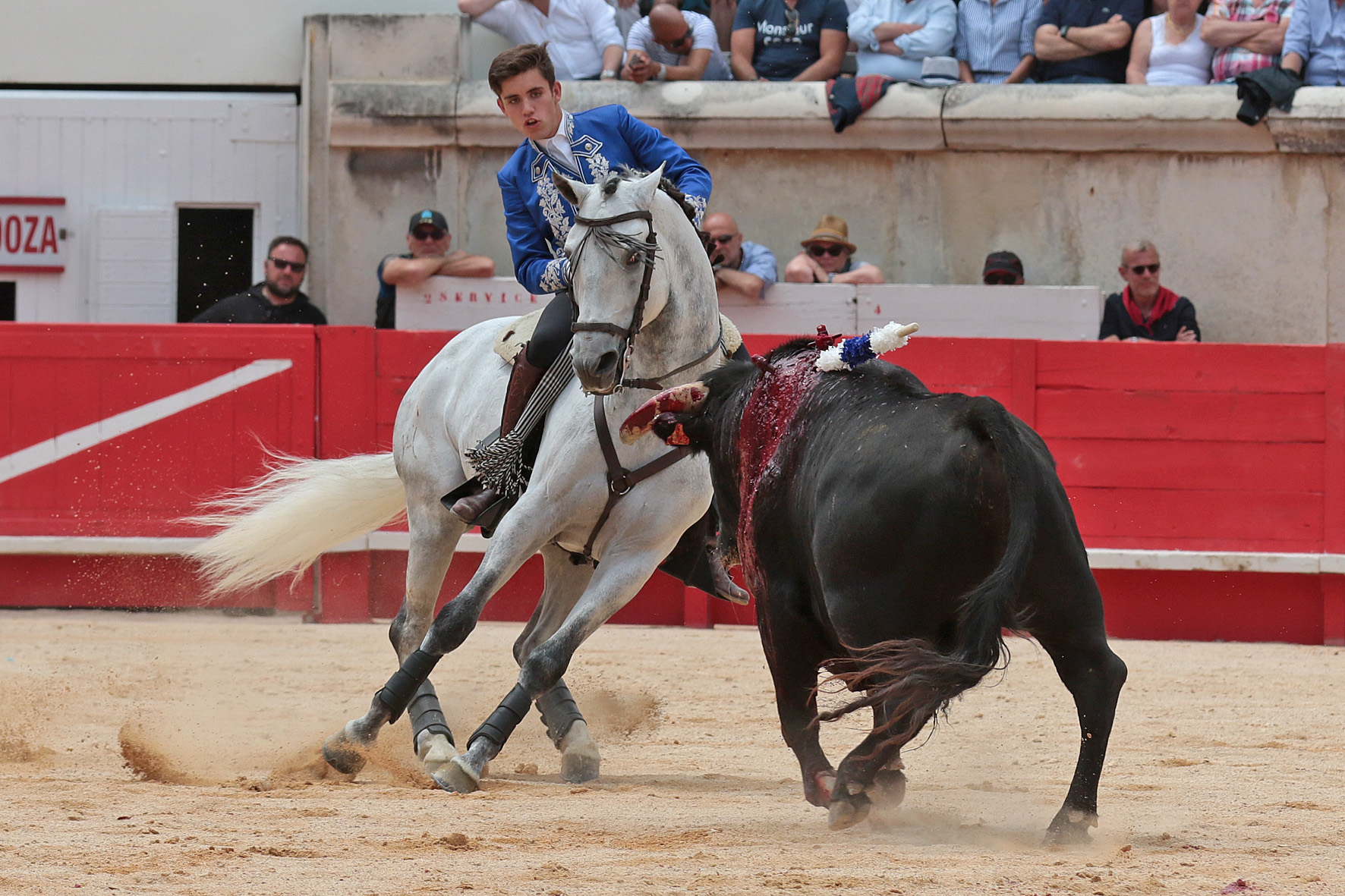 Nimes (Francia), lunes 21 de mayo de 2018. Festejo de rejones matinal