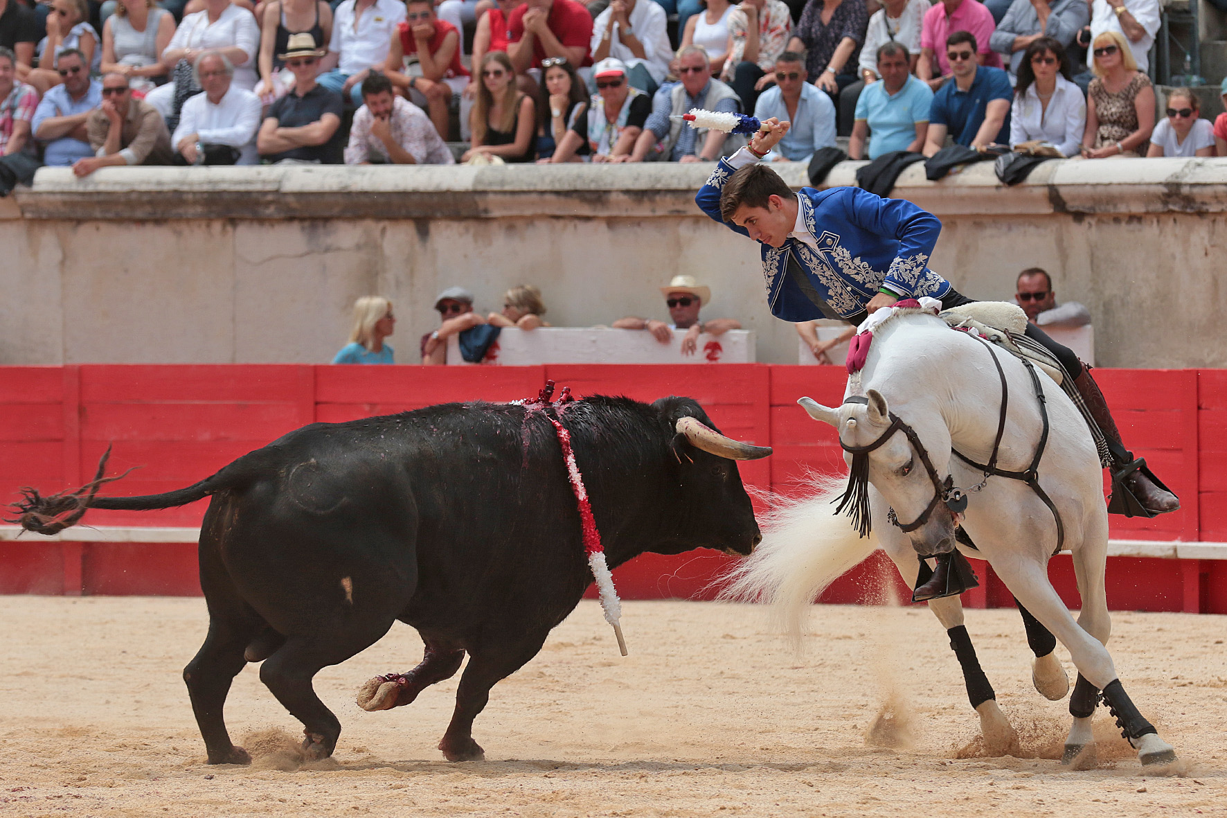 Nimes (Francia), lunes 21 de mayo de 2018. Festejo de rejones matinal