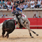 Nimes (Francia), lunes 21 de mayo de 2018. Festejo de rejones matinal