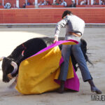 Albacete, 13 de mayo de 2018. Festival del Cotolengo homenaje a Dámaso González