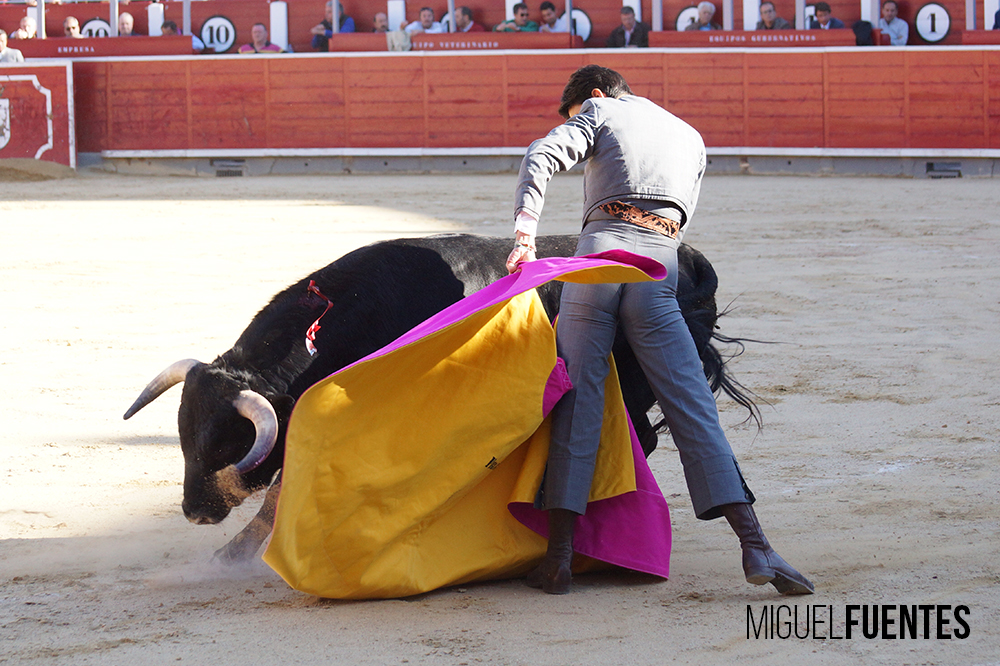 Albacete, 13 de mayo de 2018. Festival del Cotolengo homenaje a Dámaso González