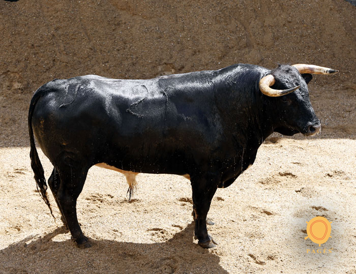 Sorteo, Sevilla 6 de mayo de 2018