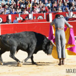 Albacete, 13 de mayo de 2018. Festival del Cotolengo homenaje a Dámaso González