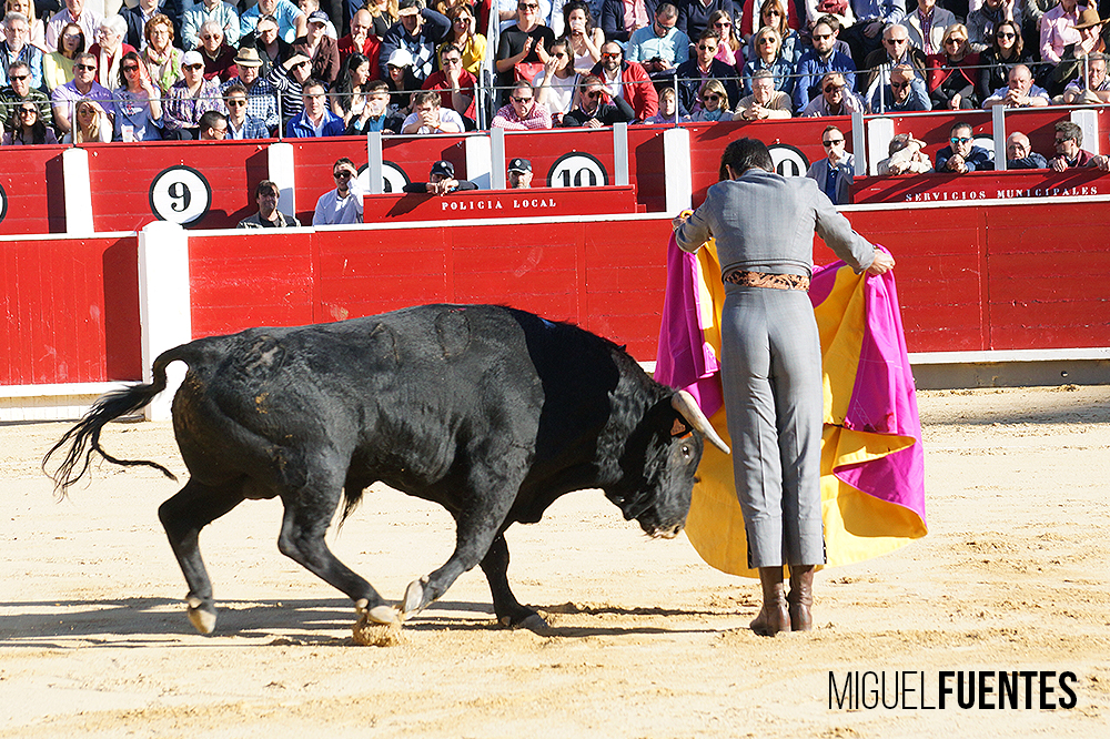 Albacete, 13 de mayo de 2018. Festival del Cotolengo homenaje a Dámaso González